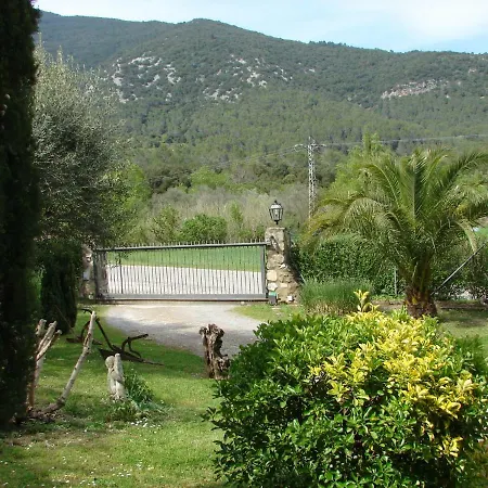 Mas Salvanera