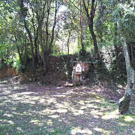 Mas Salvanera *