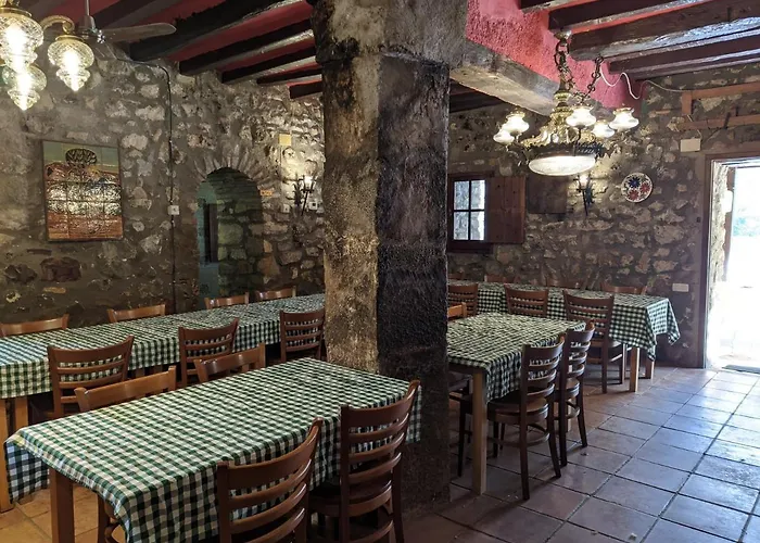 Mas Salvanera Nyaraló